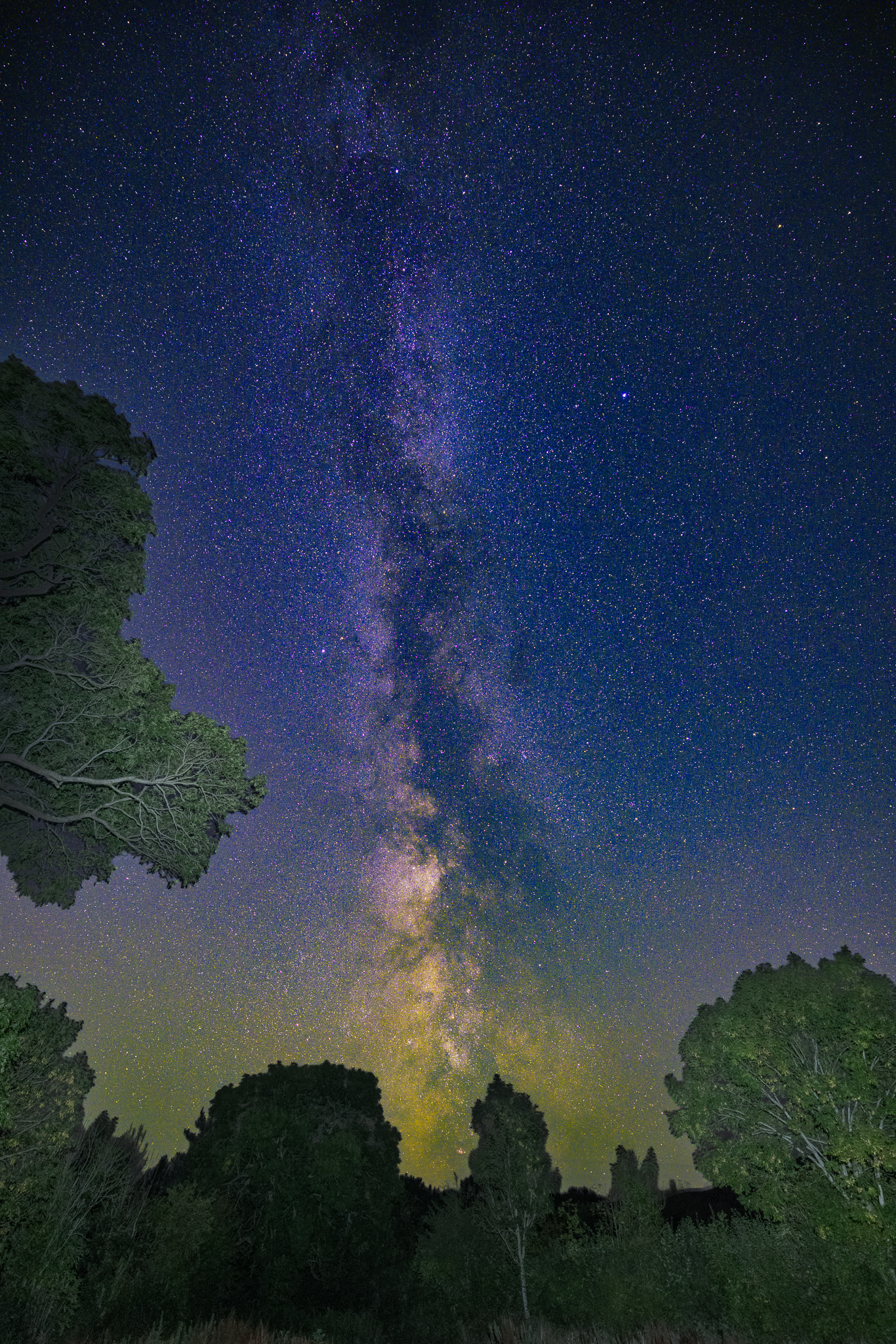 The Milky Way from the garden at The Tree of Life Cottage
