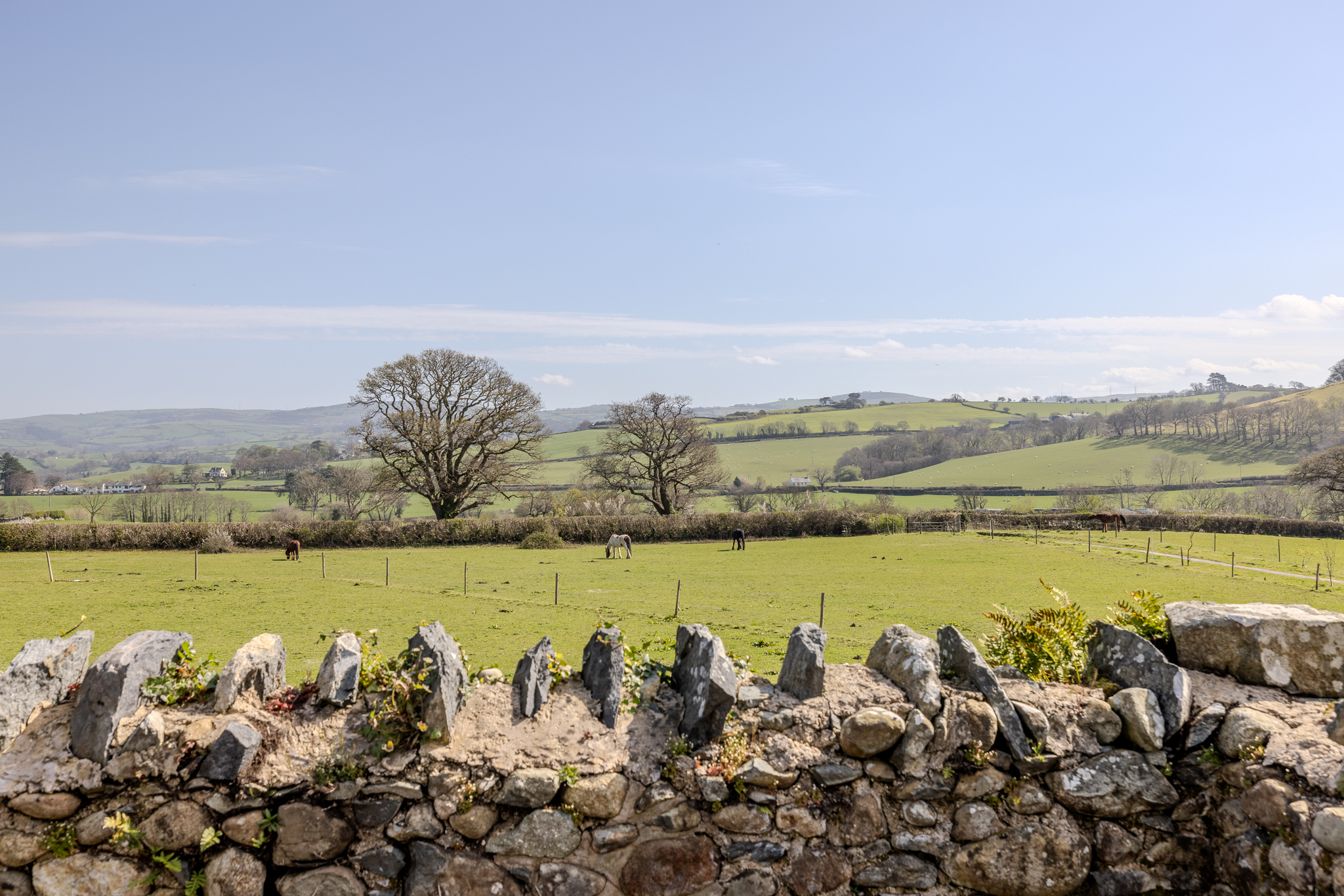 Looking across the valley at The Tree of Life Cottage